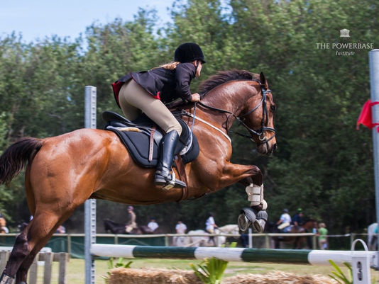 Adventure, Learning, and Fun: Young Genius Summer School 2023