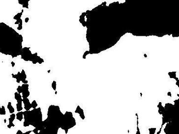 視覚の3つの機能