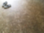 RAMMED EARTH FLOOR