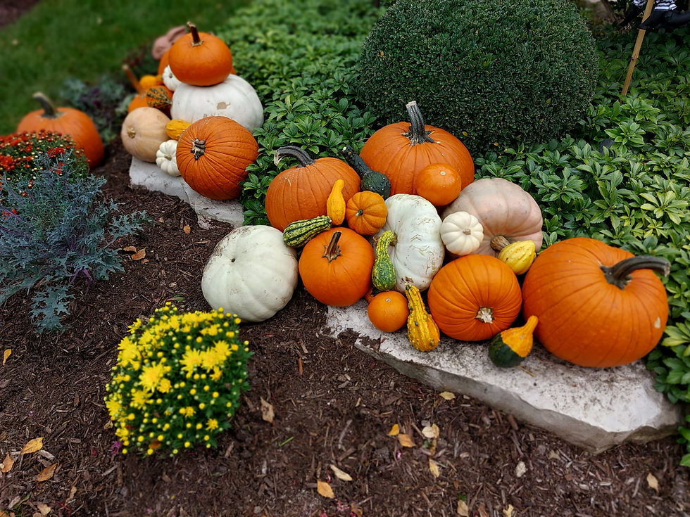 Thumbnail: The Fall Issue — Pumpkin Porch Delivery.