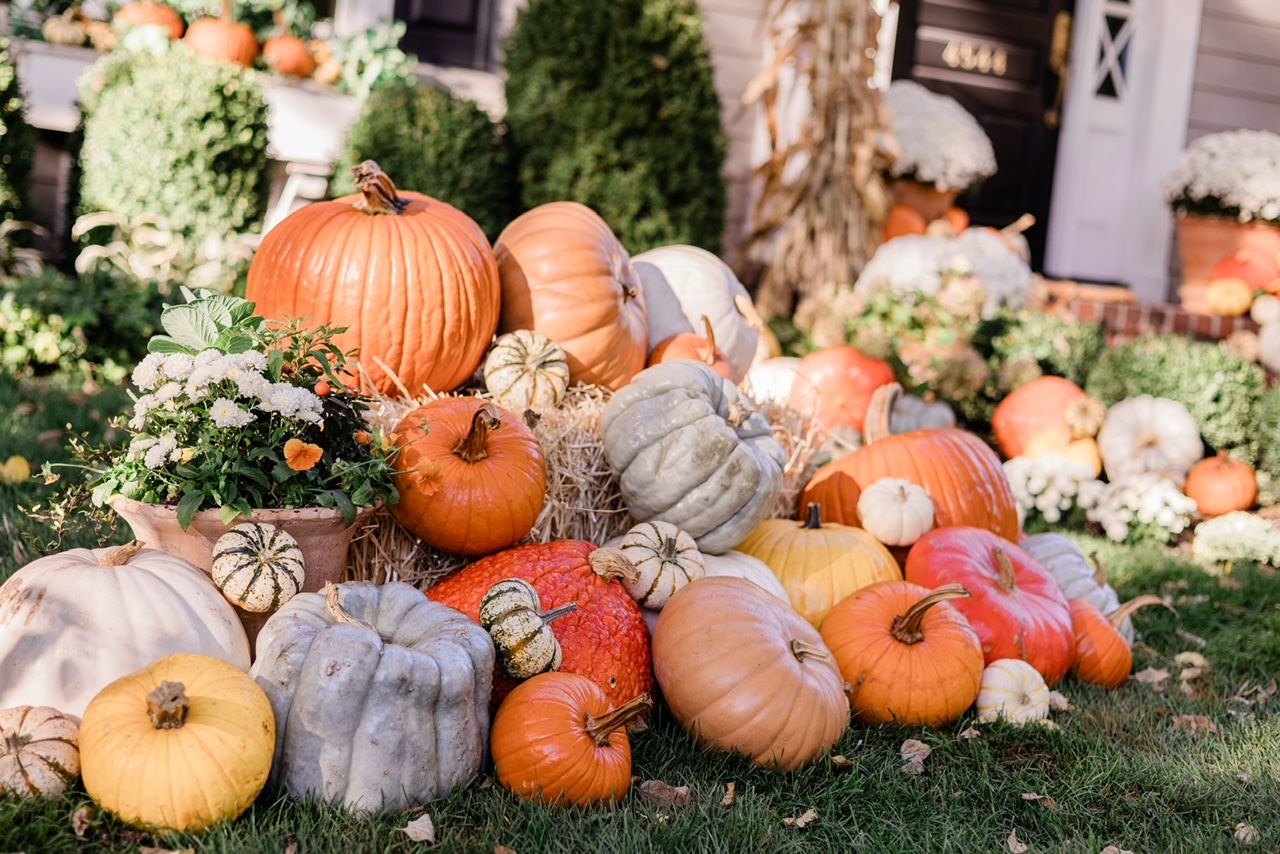 The Porch Featurette — Pumpkin Porch Delivery