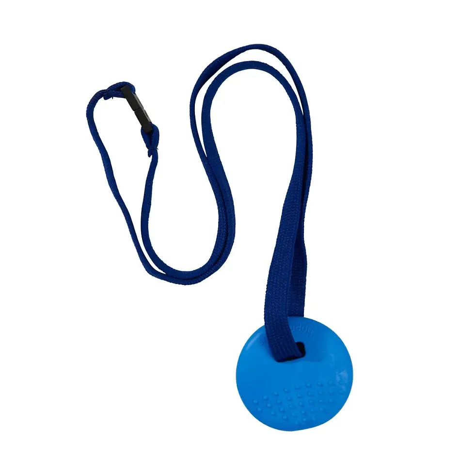 Thumbnail: Chewbuddy Disk and Lanyard