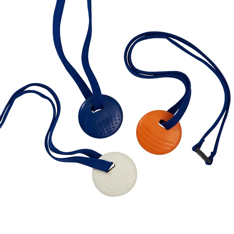 Chewbuddy Disk Tuff and Lanyard