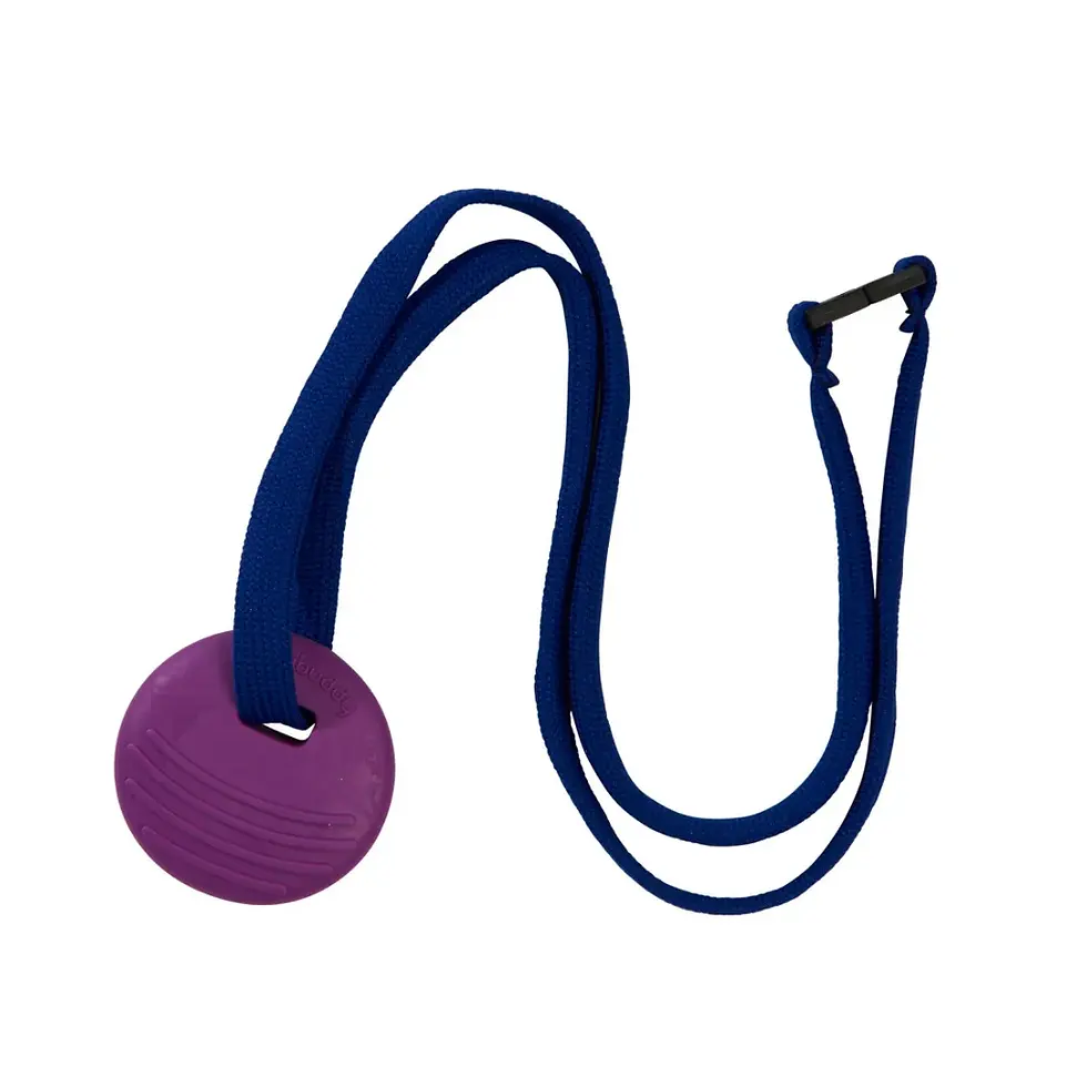 Thumbnail: Chewbuddy Disk and Lanyard