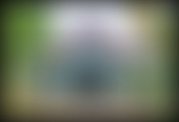 Spend a Day in Majuli Island