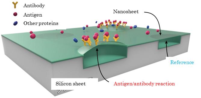 IoT sensor captures and detects trace amounts of antigens on a nano-film surface