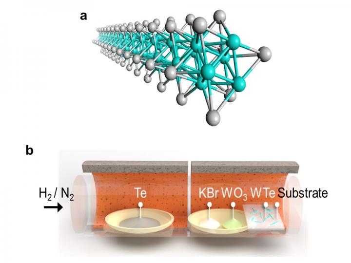 (a) Illustration of a TMC nanowire (b) Chemical vapor deposition