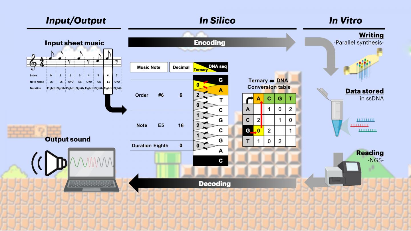 This illustration shows how the Wyss' team encoded the first measures of the 1985 Nintendo Entertainment System