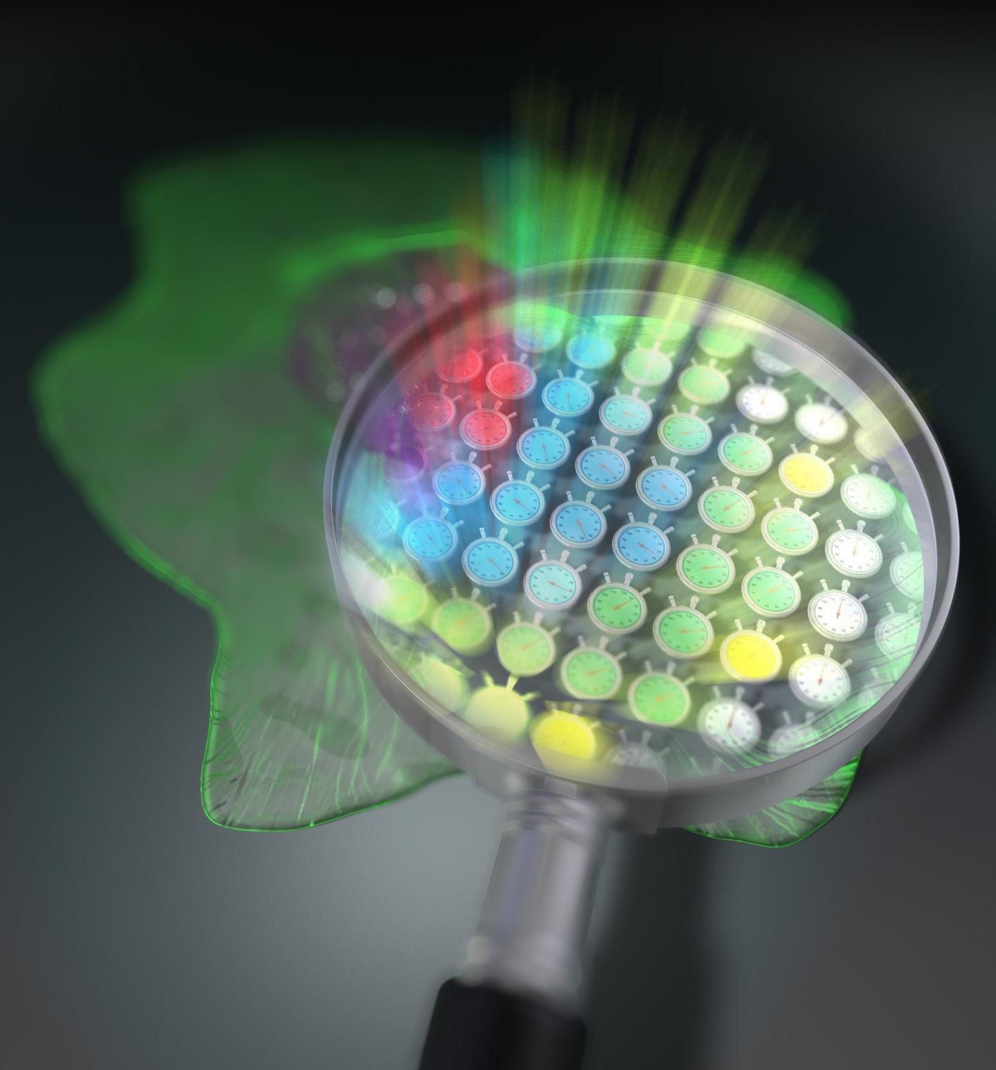 2D arrangement of 44,400 light stopwatches enables scan-less fluorescence lifetime imaging