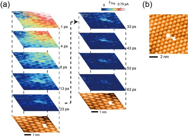 Fig.2 Electron dynamics around a misoriented molecular defect. (a) STM image and snapshots obtained over an area including the defect indicated by the white arrow. Snapshots clearly show that electrons were still trapped in the single bright defect even 63 ps after IR pulse excitation as shown in (b). The defect appears brighter than the other C60 molecules because of the trap of electrons at the single molecular site.