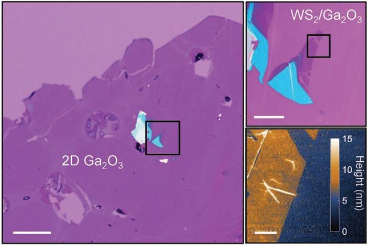 Tungsten-disulfide / gallium-oxide heterostructure
