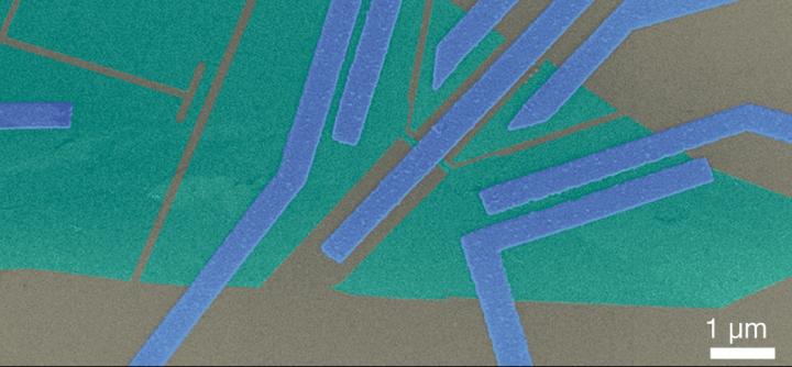 False-colour electron microscope image of the sample
