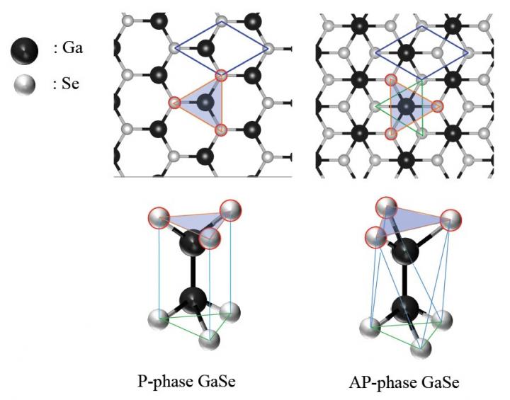 The P and AP phases of a GaSe monolayer