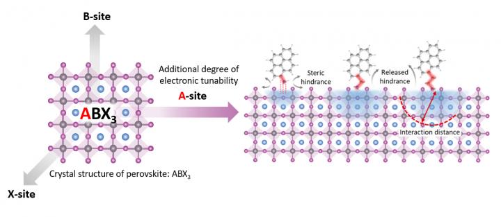 Schematic of perovskite material with organic molecules that can add to its electronic properties