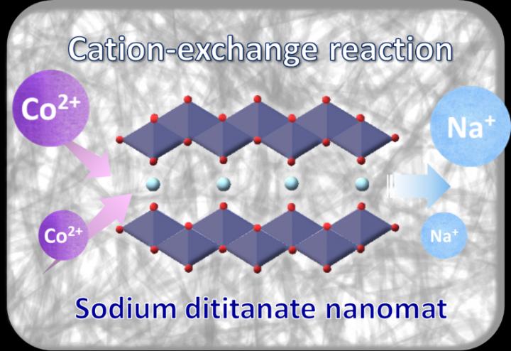 Seaweed-like sodium titanate mat for Co2+ removal