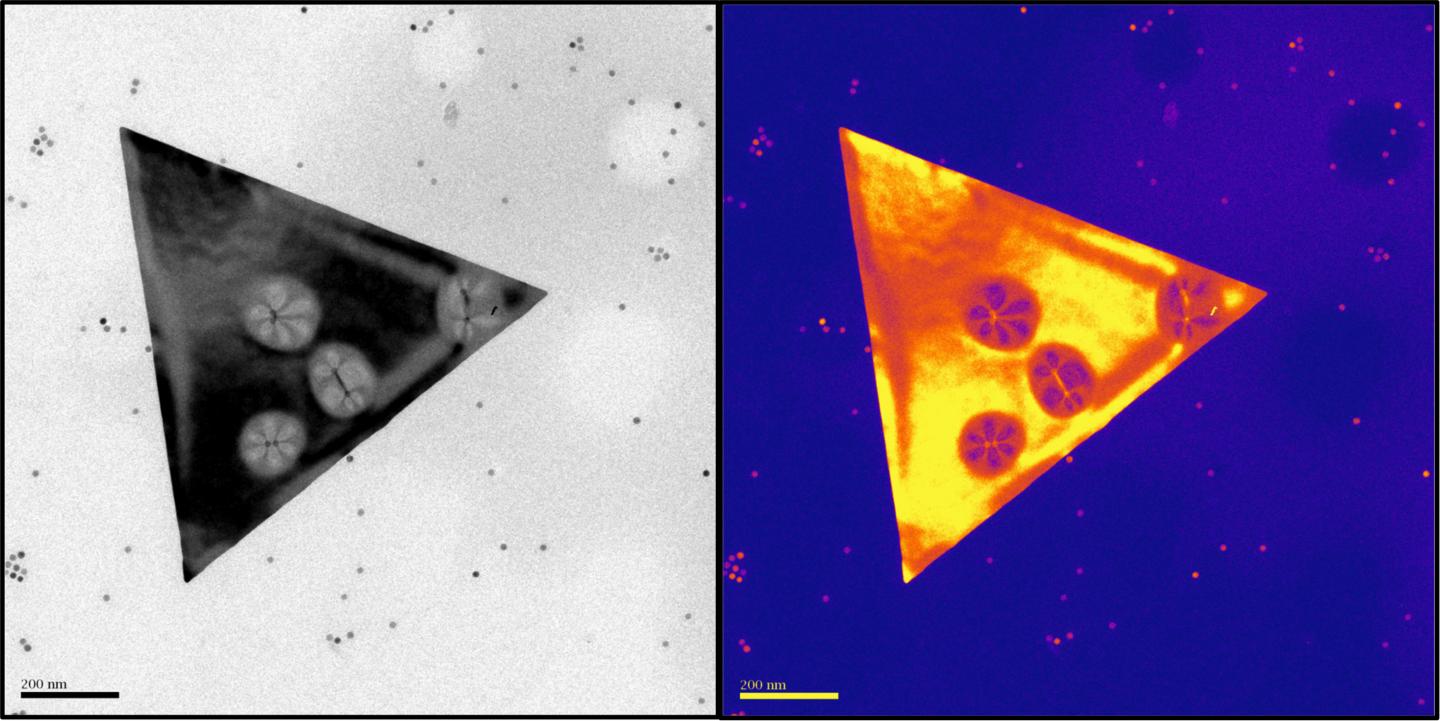A TEM IMAGE LEFT AND COLOR MAP VERSION RIGHT HIGHLIGHTS DEFORMATIONS IN SILVER NANOSHEETS