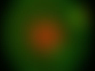 Nanodevices show how living cells change with time, by tracking from the inside