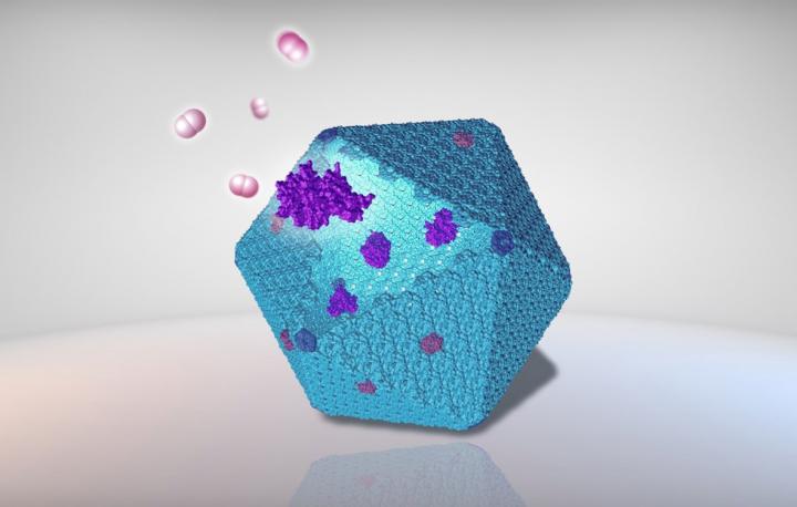 ILLUSTRATION OF A CARBOXYSOME AND ENZYMES