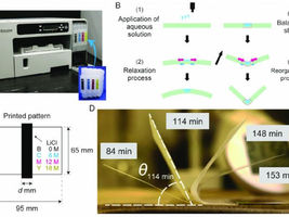 Plant inspired: Printing self-folding paper structures for future mechatronics