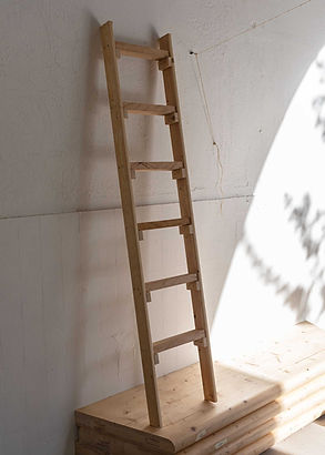 de l'arbre au gateau ©jonathandemaeyer3.jpg