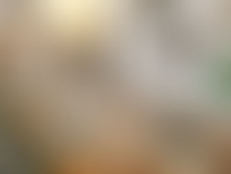 A vacation rental design by McGraw Interiors