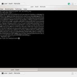 The Dark Web Is Not Dark, It Is Just Not Illuminated