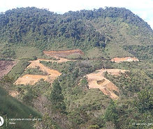 propiedad raiz