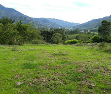 propiedad raiz