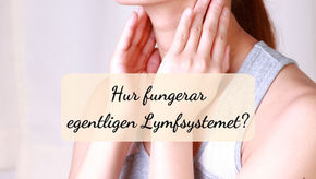 Lymfsystemet - Kroppens reningsverk