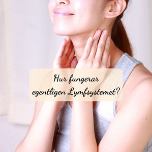 Lymfsystemet - Kroppens reningsverk
