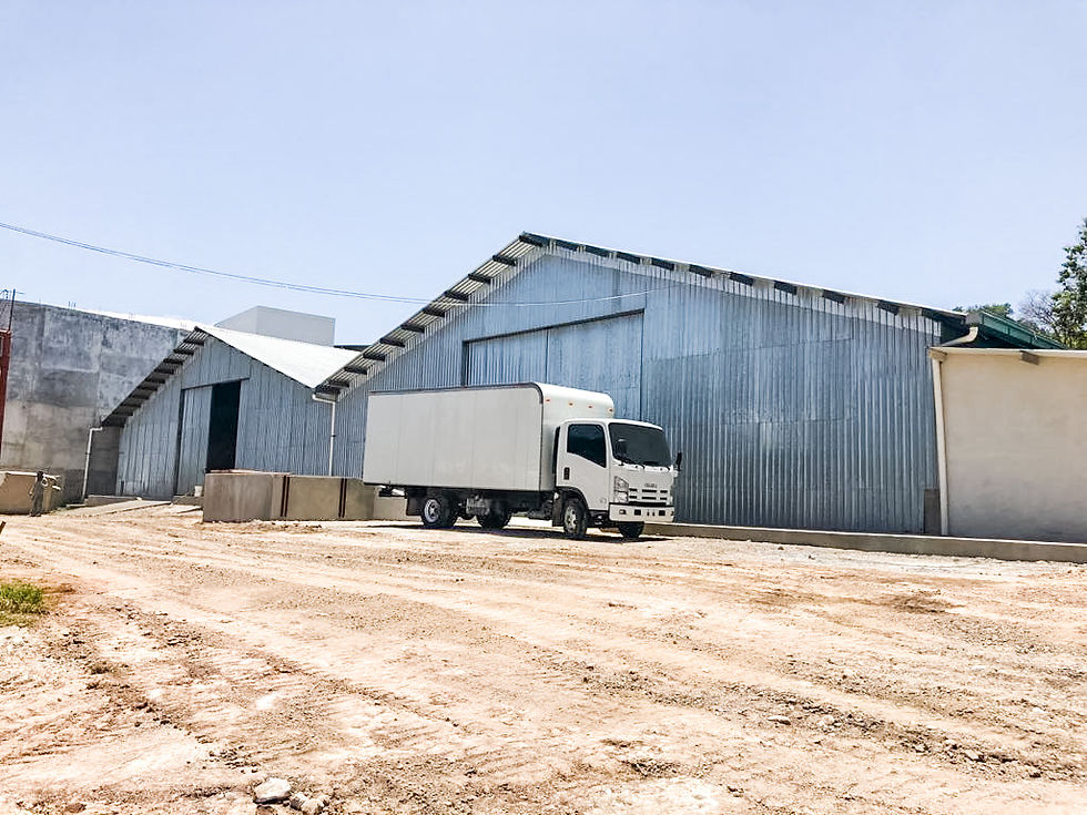 LAS CASITAS- Bodega #290 