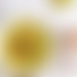 Spaghettis de courgettes ✨