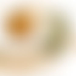 Pancakes burger à la patate douce✨