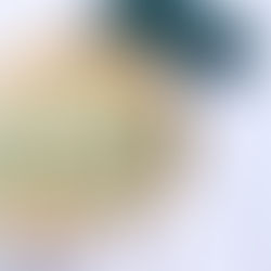 Tarte chèvre courgette✨