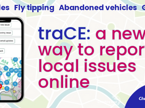 Cheshire East - new online reporting tool