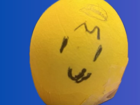 All About Pickles - an egg cat adventure series by Ryan Age 9