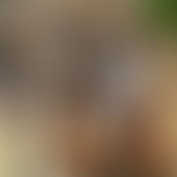 악기를 배우는 즐거움