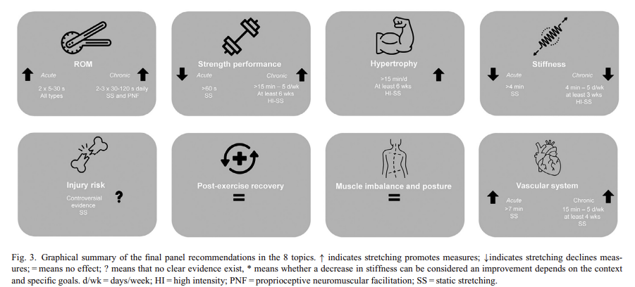 Figure: Practical summary from Warneke et al. (2025) showing acute and chronic effects of stretching on range of motion, stiffness, strength, hypertrophy, injury risk, and vascular health.
