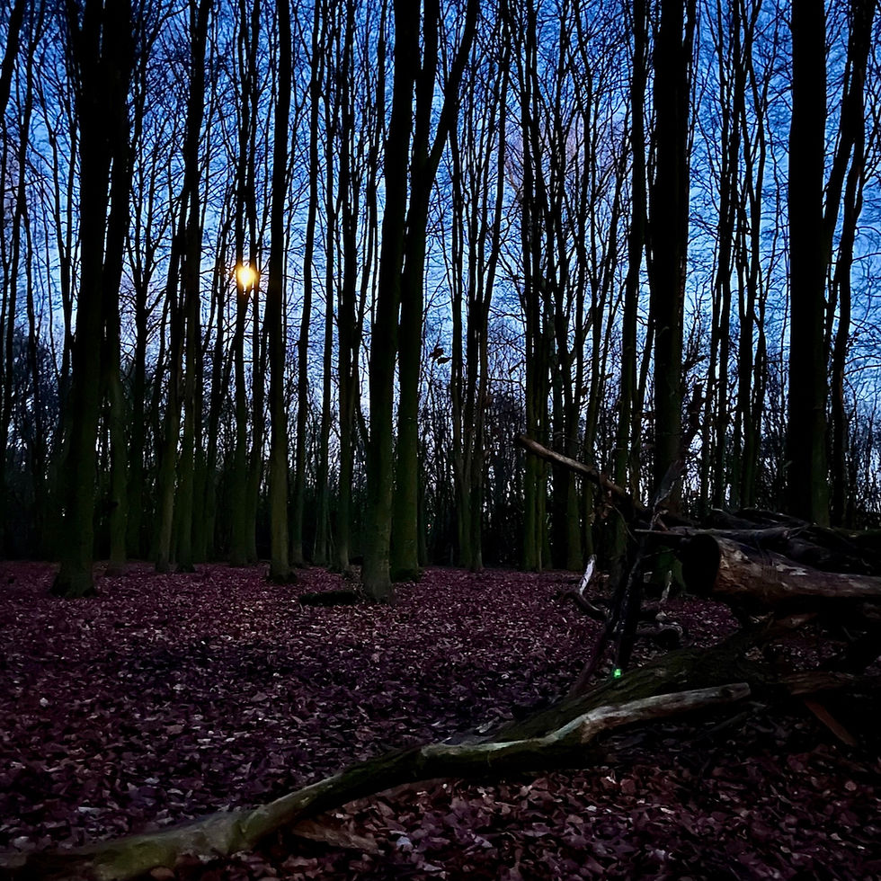 Bosbad in het licht van de volle maan