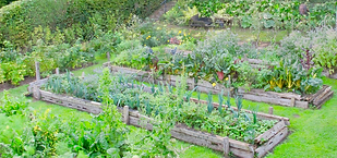 permaculture (Copier).png