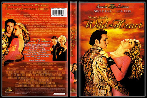 Wild at Heart DVD 2004 Special Edition (Used) | playitbyfear 