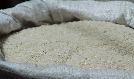 Rice
