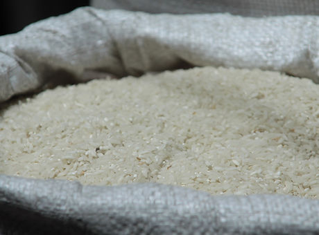 Rice