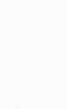Floral_Pattern.png