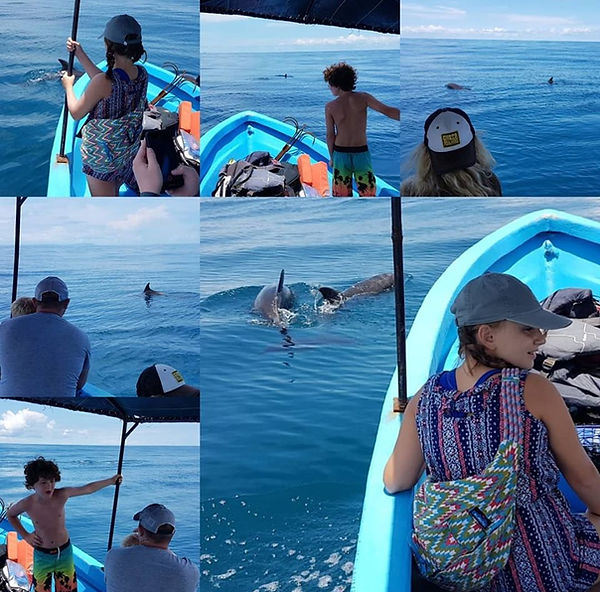 Samara Sea Tours.jpg