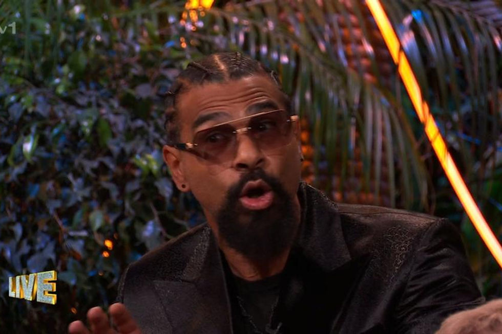 Survival of the Stars: Drama, Rivalries, and Triumph in the Heart of the Jungle