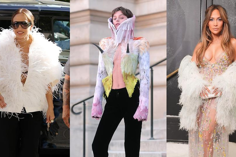 Plumage and Panache: How Feathers Are Taking Over the Couture Scene