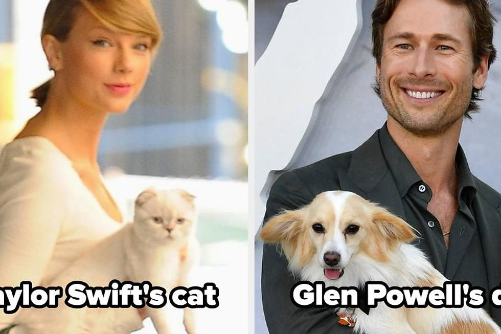 Paws and Claws: How Celebrity Pets Shape Our Love for Stars