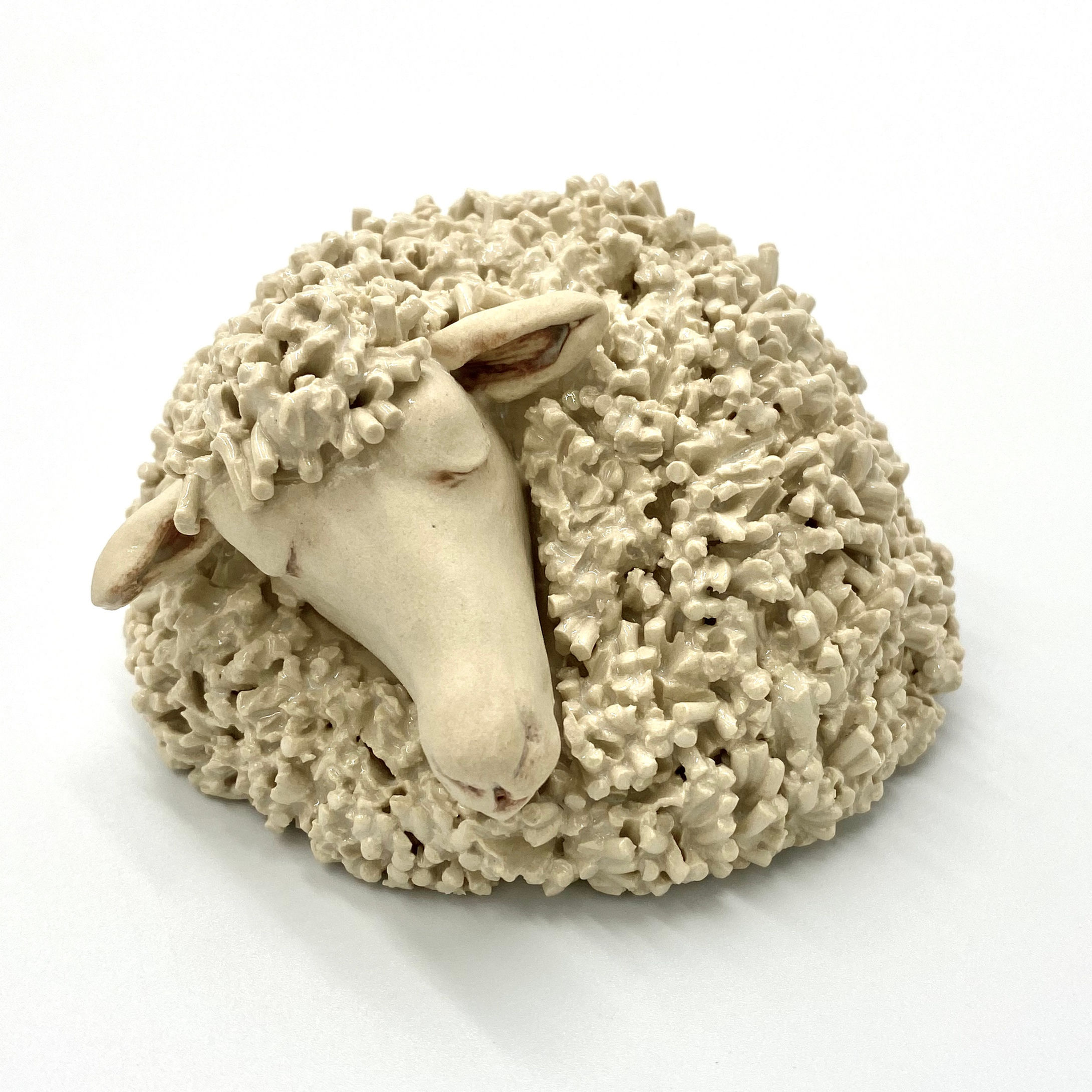 Large Sleepy Sheep