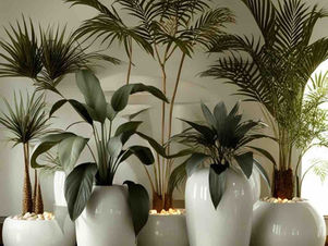 Yapay Bitkilerin Farklı Türleri: Çiçeklerden Ağaçlara, Hepsini Tanıyın